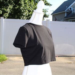 Wild Fable Basic Black Crop Top/ T-shirt